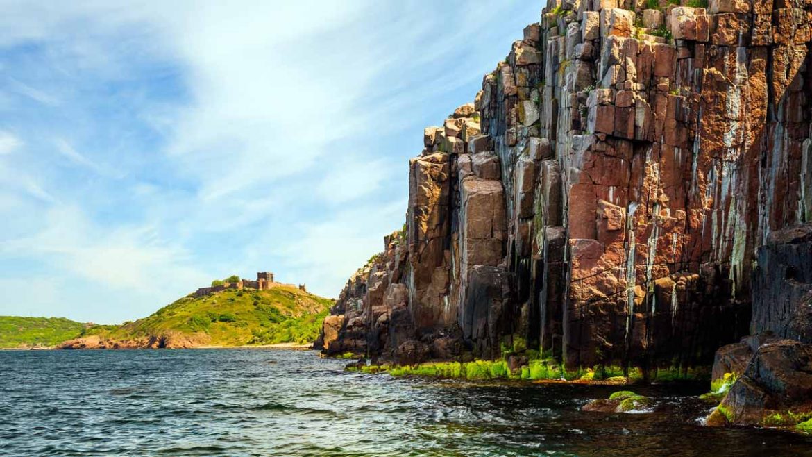 Naturreiseführer helfen Dänemarks Natur zu entdecken.