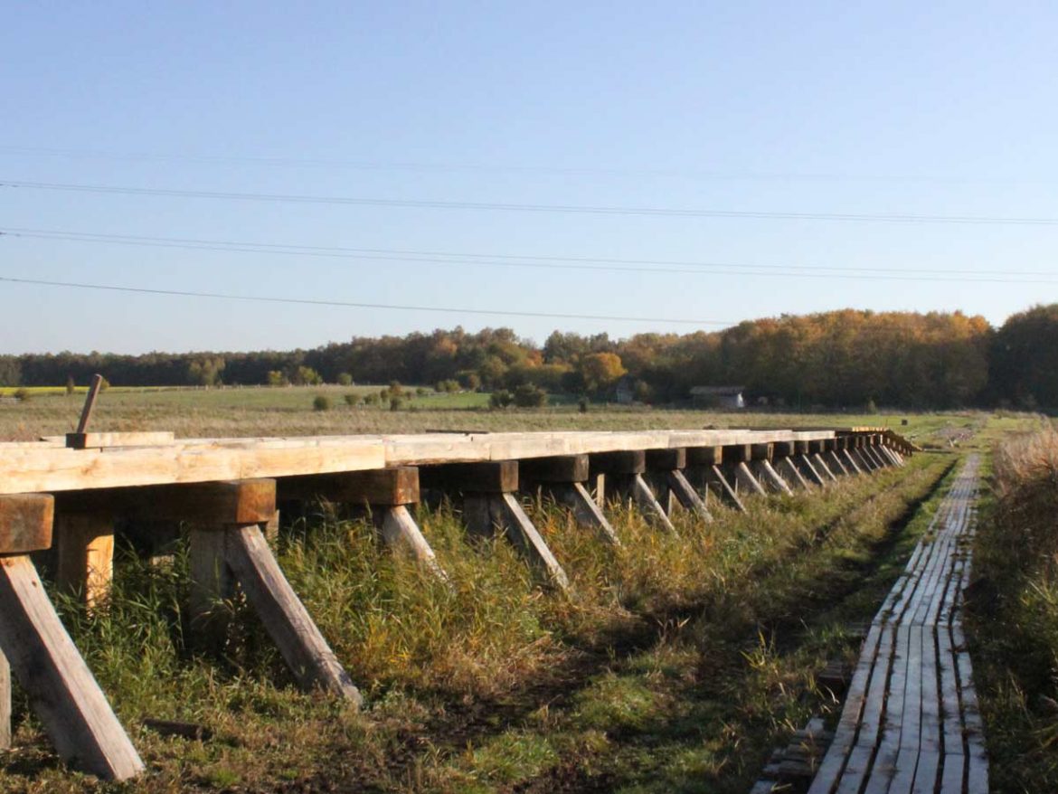 Die längste Wikingerbrücke in Dänemark wird mit historischen Werkzeugen gebaut.