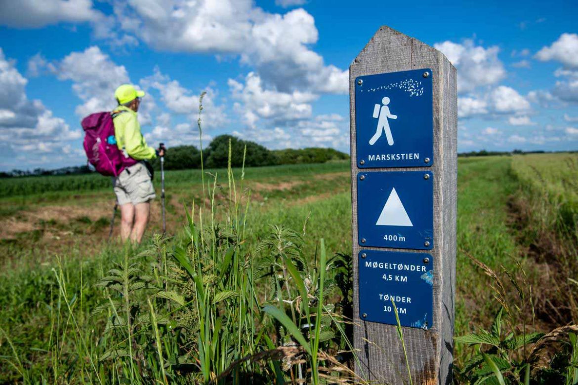 Ein neuer Wanderweg führt das Marschland der Tøndermarsk.