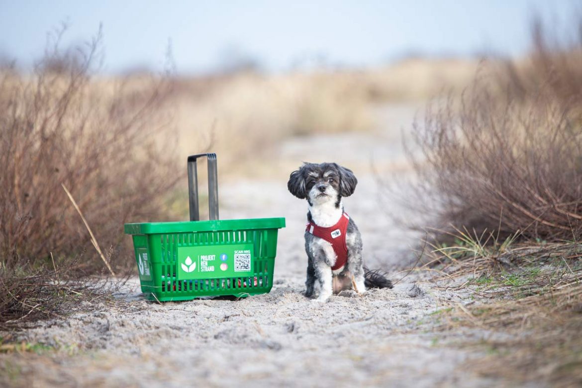 Das Projekt sauberer Strand will Müll von den Stränden in Dänemark holen.