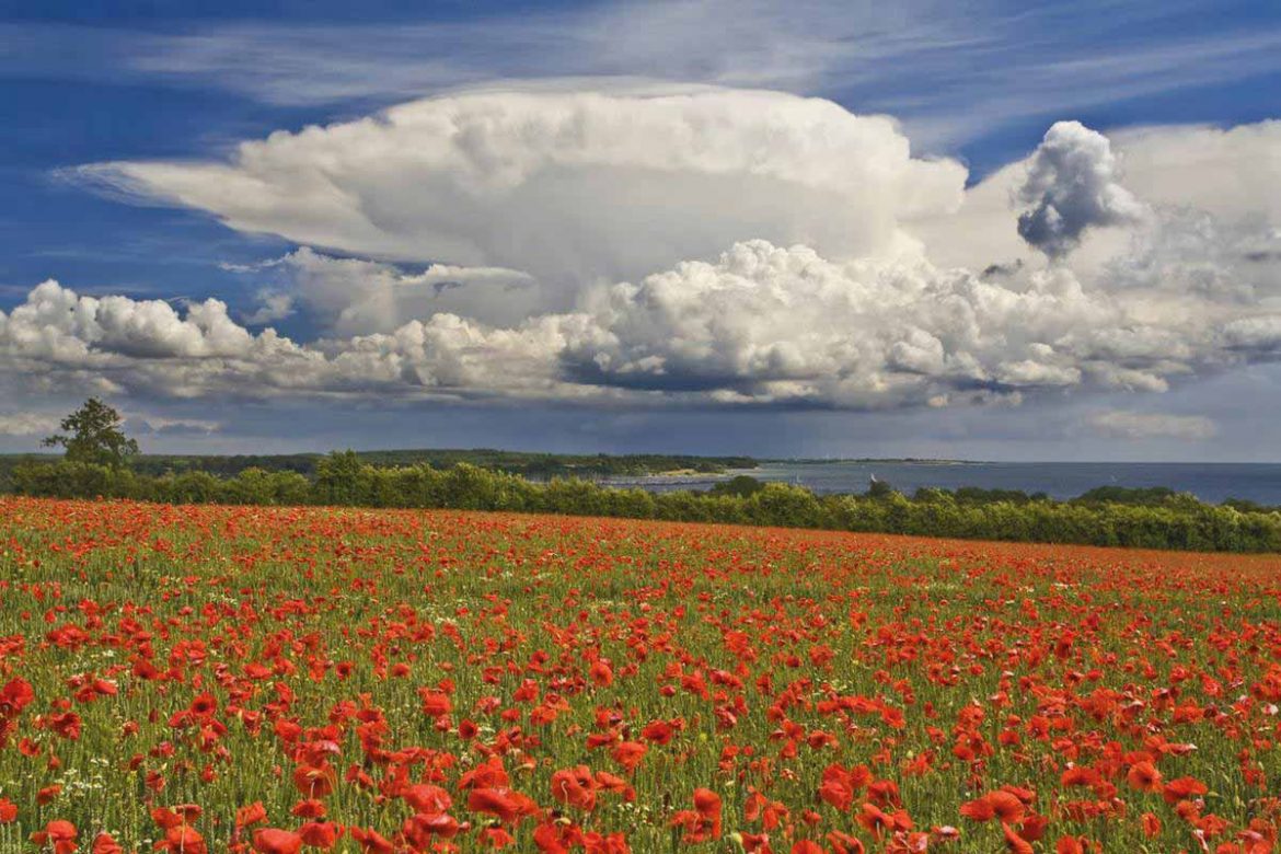 Der Gendarmstien in Südjütland gehört mit zu den Wanderwegen in Dänemark, die auf Google ausgewiesen sind.